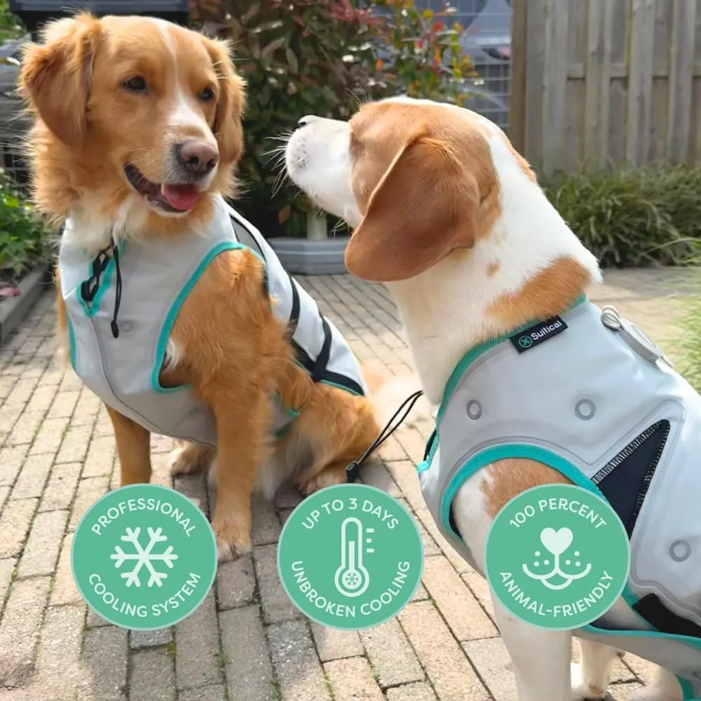 Suitical Dry Cooling Vest for Dogs | Canine Cooling Vest for Hot Weather | Dog Cool Down Jacket | Machine Washable | XS | Neck to Tail 10- 14 | Chest 16-24 Around | Neck Circumference 14 | Silver