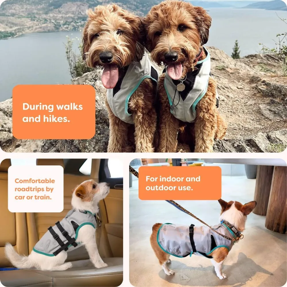 Suitical Dry Cooling Vest for Dogs | Canine Cooling Vest for Hot Weather | Dog Cool Down Jacket | Machine Washable | XS | Neck to Tail 10- 14 | Chest 16-24 Around | Neck Circumference 14 | Silver