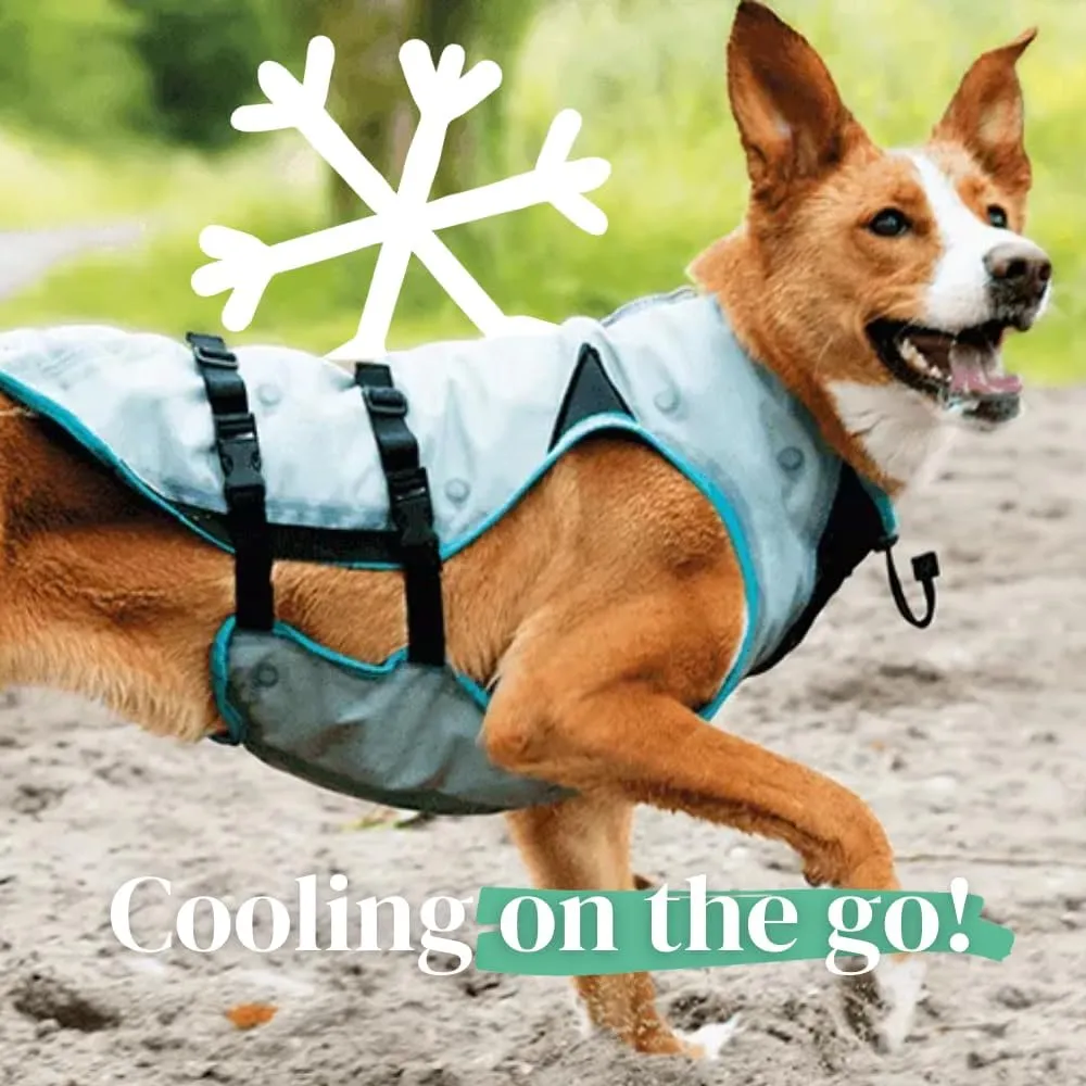 Suitical Dry Cooling Vest for Dogs | Canine Cooling Vest for Hot Weather | Dog Cool Down Jacket | Machine Washable | XS | Neck to Tail 10- 14 | Chest 16-24 Around | Neck Circumference 14 | Silver